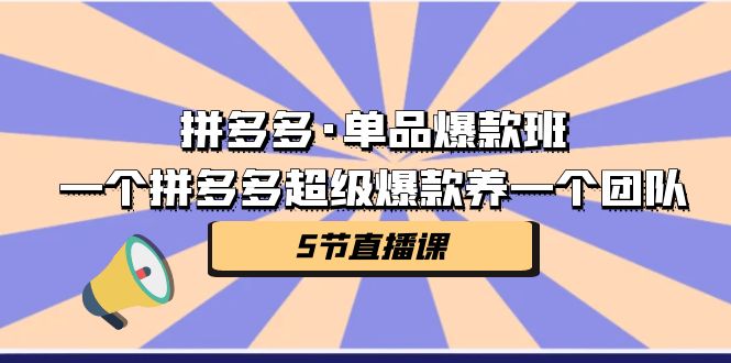 拼多多·单品爆款班，一个拼多多超级爆款养一个团队（5节直播课）创学金矿——2025年领先的创业与教育知识付费平台创学金矿· 知识付费平台