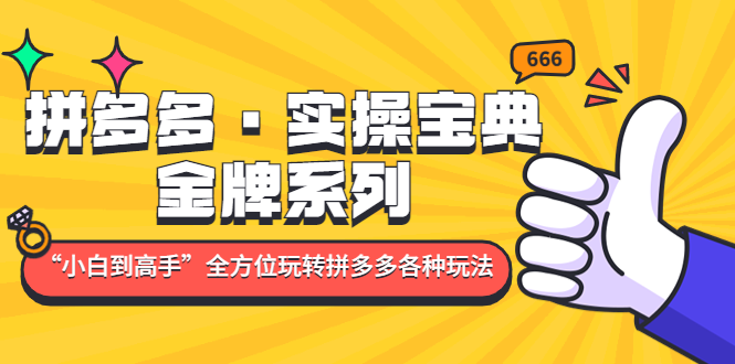 拼多多·实操宝典：金牌系列“小白到高手”带你全方位玩转拼多多各种玩法创学金矿——2025年领先的创业与教育知识付费平台创学金矿· 知识付费平台