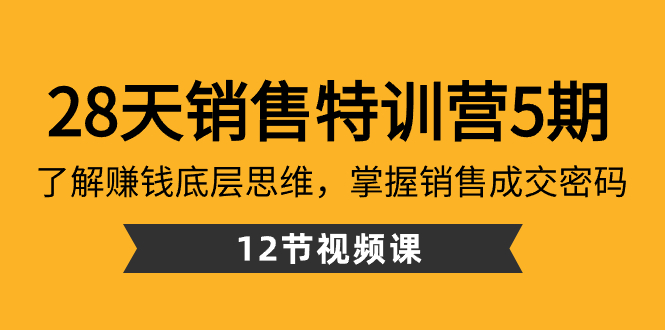 28天·销售特训营5期：了解赚钱底层思维，掌握销售成交密码（12节课）创学金矿——2025年领先的创业与教育知识付费平台创学金矿· 知识付费平台