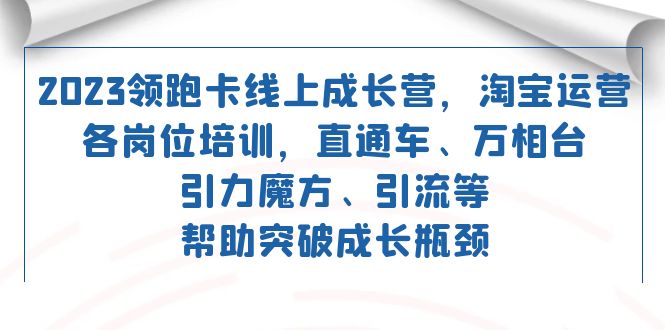 2023领跑·卡 线上成长营 淘宝运营各岗位培训 直通车 万相台 引力魔方 引流创学金矿——2025年领先的创业与教育知识付费平台创学金矿· 知识付费平台