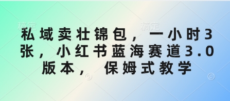 私域卖壮锦包，一小时3张，小红书蓝海赛道3.0版本， 保姆式教学创学金矿——2025年领先的创业与教育知识付费平台创学金矿· 知识付费平台