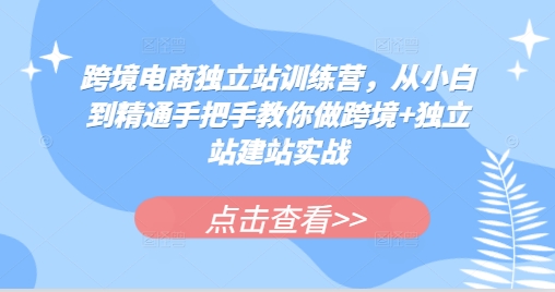 跨境电商独立站训练营，从小白到精通手把手教你做跨境+独立站建站实战创学金矿——2025年领先的创业与教育知识付费平台创学金矿· 知识付费平台