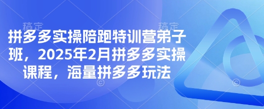 拼多多实操陪跑特训营弟子班，2025年2月拼多多实操课程，海量拼多多玩法创学金矿——2025年领先的创业与教育知识付费平台创学金矿· 知识付费平台